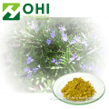 Rosemary Leaf Extract Carnosic Acid Powder